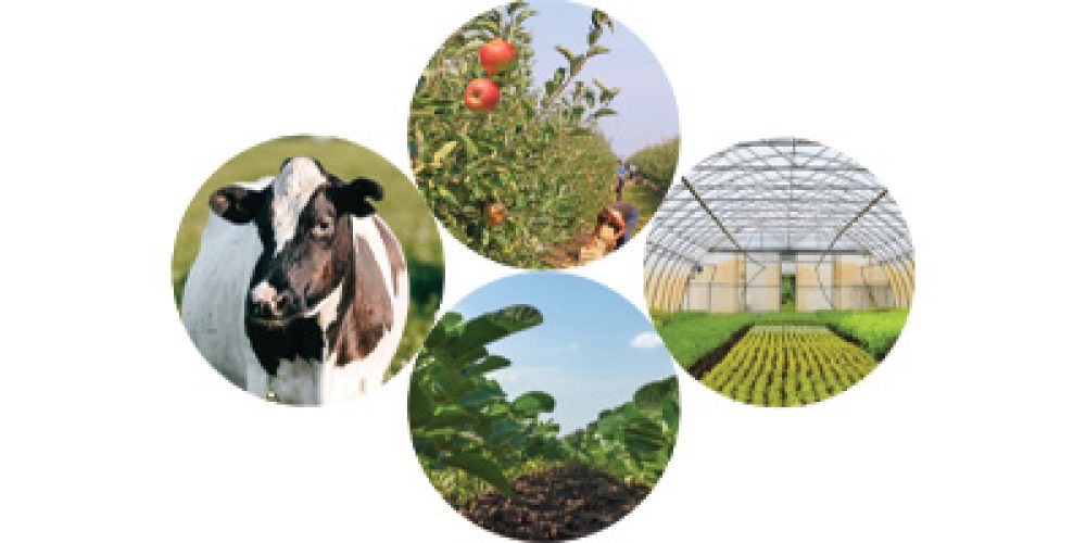 Managing Farm Risks — Free Webinar Series