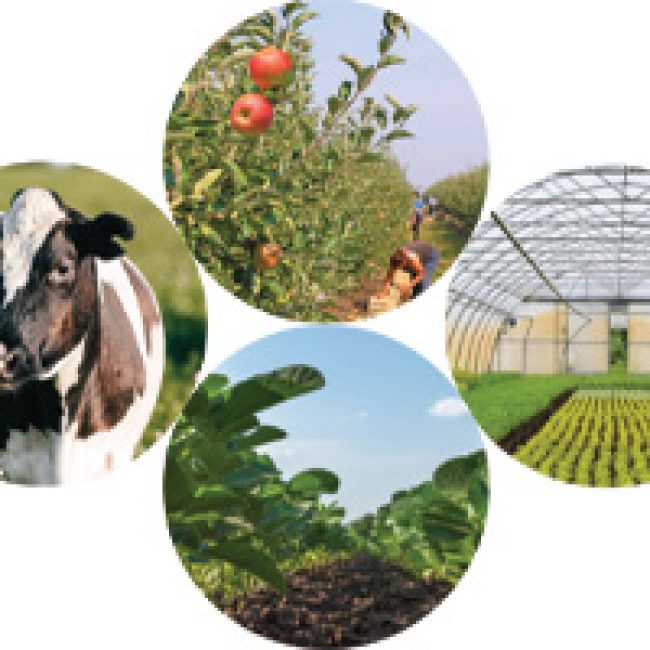 Managing Farm Risks — Free Webinar Series